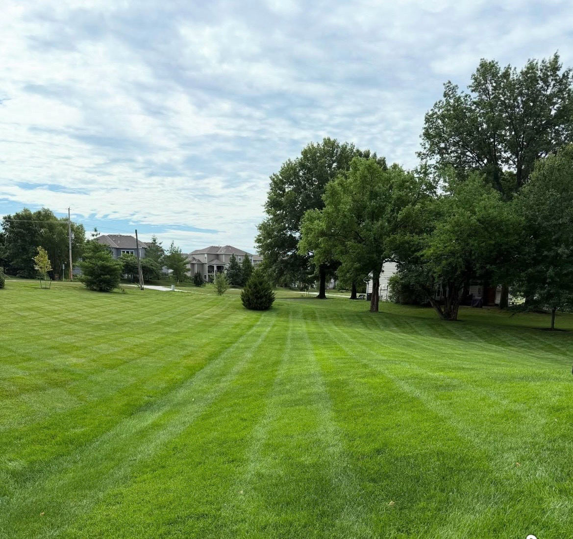 Freshly mowed lawn with clean stripes on a maintained residential property